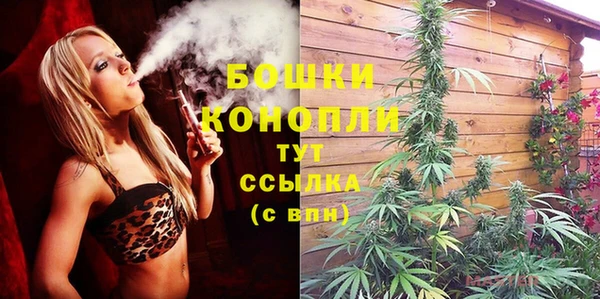 ПСИЛОЦИБИНОВЫЕ ГРИБЫ Белокуриха