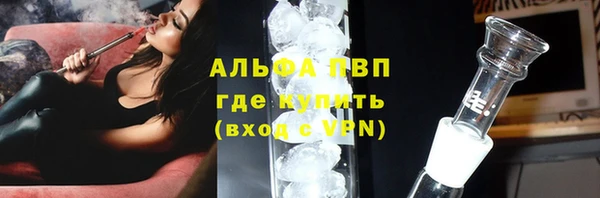 ПСИЛОЦИБИНОВЫЕ ГРИБЫ Белокуриха