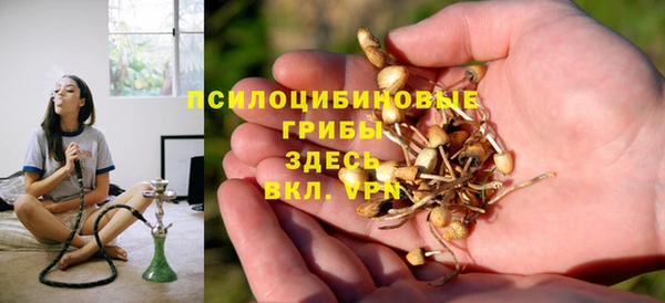 ПСИЛОЦИБИНОВЫЕ ГРИБЫ Белокуриха
