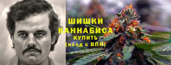 ПСИЛОЦИБИНОВЫЕ ГРИБЫ Белокуриха